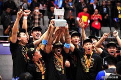 20182019赛季cba总冠军 - 体坛新闻分类下的文章配图