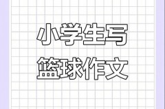 我每天打篮球的英文翻译 - 资讯追踪分类下的文章配图