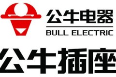 公牛是哪个国家的品牌? - 前瞻一览分类下的文章配图