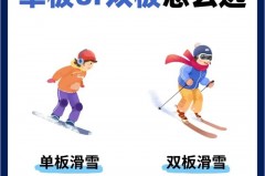 奥运会和冬奥会的区别 - 体坛新闻分类下的文章配图