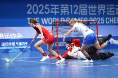 女子曲棍球决赛 - 体坛新闻分类下的文章配图