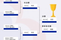 世界杯八强水平 - 体坛新闻分类下的文章配图
