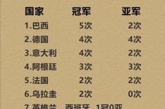 上一届世界杯冠军是谁? - 资讯追踪分类下的文章配图