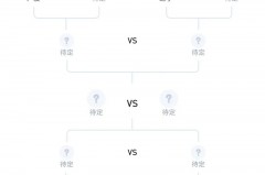 cba球队排名规则 - 资讯追踪分类下的文章配图