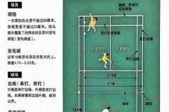 羽毛球的规则规程 - 体坛新闻分类下的文章配图