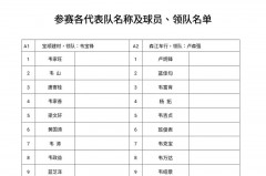 nba球队名单成员大全 - 体坛新闻分类下的文章配图
