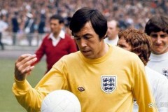 86年世界杯英格兰门将 - 体坛新闻分类下的文章配图