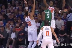 尼克斯实力怎么样 - 资讯追踪分类下的文章配图