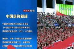 为什么世界杯和奥运会错开 - 体坛新闻分类下的文章配图