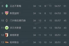 意甲积分榜德甲最新比分 - 资讯追踪分类下的文章配图