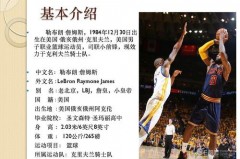 勒布朗 詹姆斯简介资料 - 资讯追踪分类下的文章配图