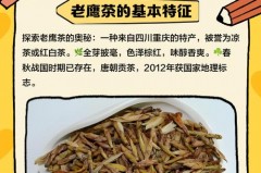 老鹰茶是啥 - 前瞻一览分类下的文章配图