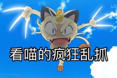 火箭队的喵喵为什么不进化 - 体坛新闻分类下的文章配图