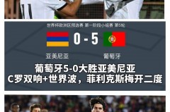 2016年欧洲杯葡萄牙比分 - 资讯追踪分类下的文章配图