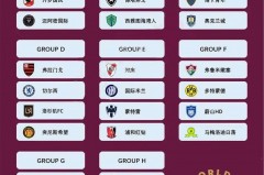 世界杯是什么联赛 - 体坛新闻分类下的文章配图