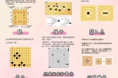 中国围棋规则 - 资讯追踪分类下的文章配图