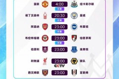 央视有没有英超转播权 - 前瞻一览分类下的文章配图