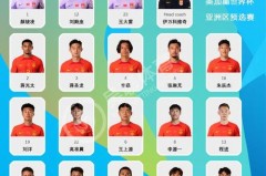 日韩世界杯中国队大名单 - 体坛新闻分类下的文章配图