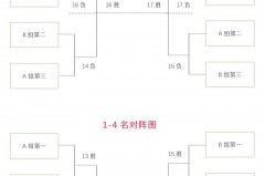 篮球世界杯采用什么赛制 - 前瞻一览分类下的文章配图