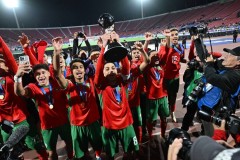 男足世界杯夺冠 - 体坛新闻分类下的文章配图