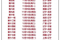 今晚CBA赛程时间 - 体坛新闻分类下的文章配图