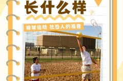 排球运动的基本特点 - 资讯追踪分类下的文章配图