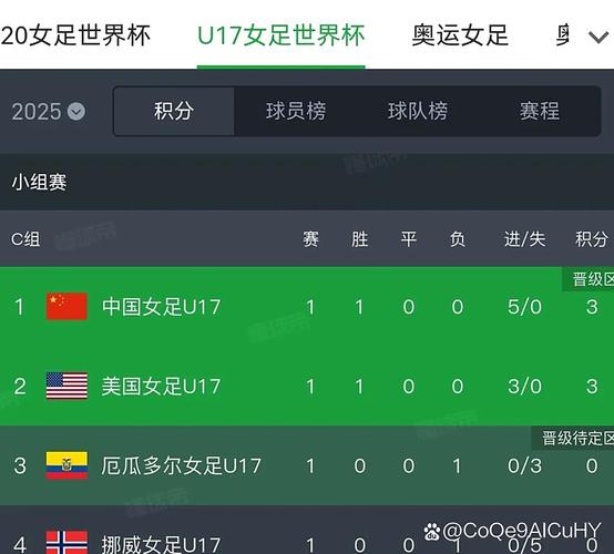 中国女足世界杯最佳成绩