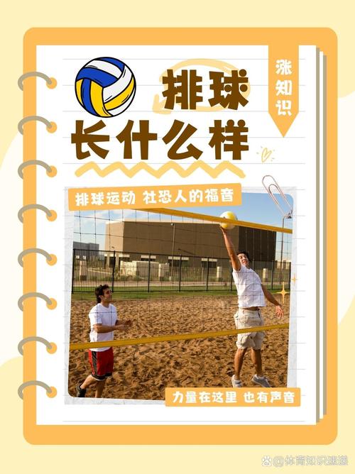 排球运动的基本特点