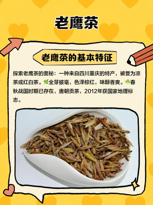 老鹰茶是啥