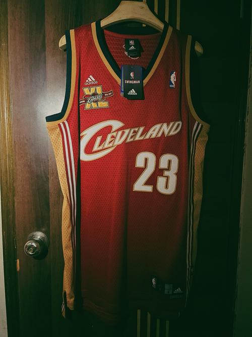 04年詹姆斯球衣