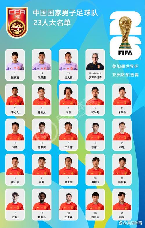 日韩世界杯中国队大名单
