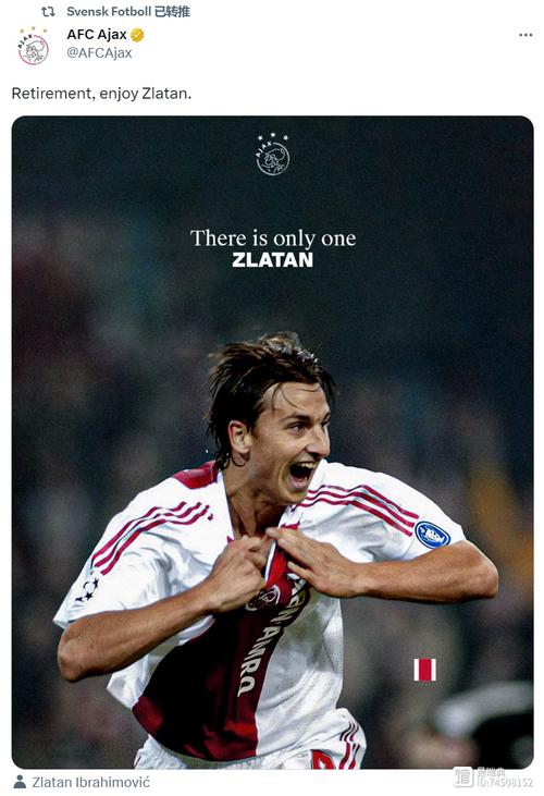 伊布拉希莫维奇待过的球队