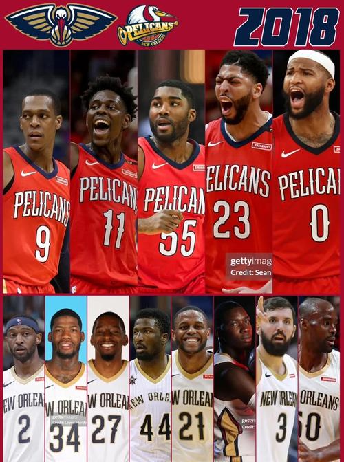 鹈鹕队是哪里的