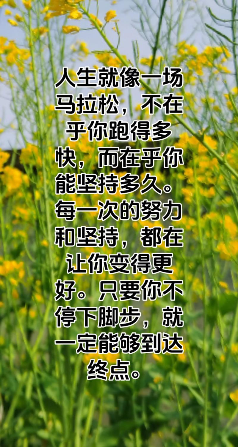 马拉松精神金句