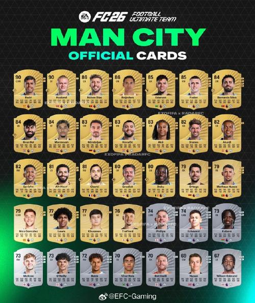 曼城欧冠球员名单