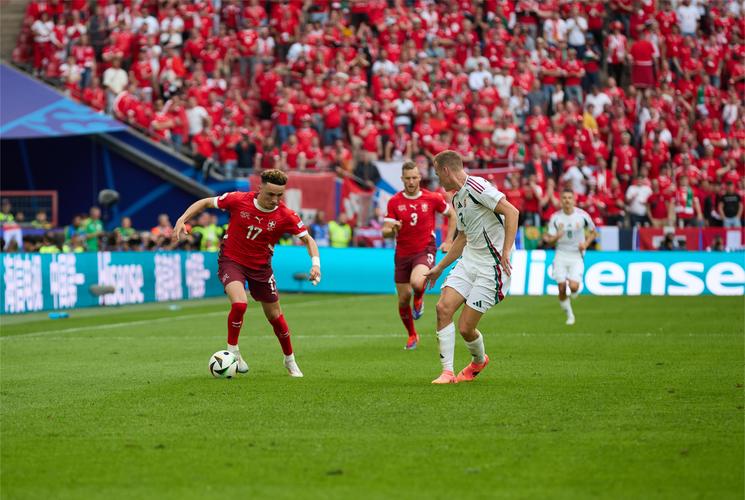 瑞士世界杯战绩