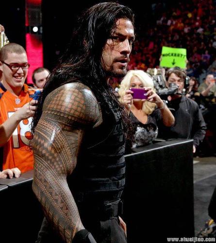 wwe到底是不是真的