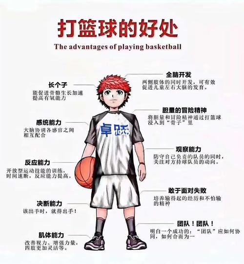 篮球中前锋的作用