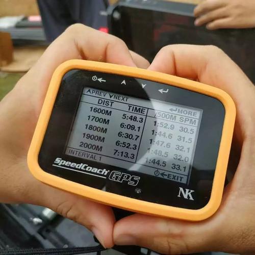 2019年世界赛艇锦标赛奖牌榜