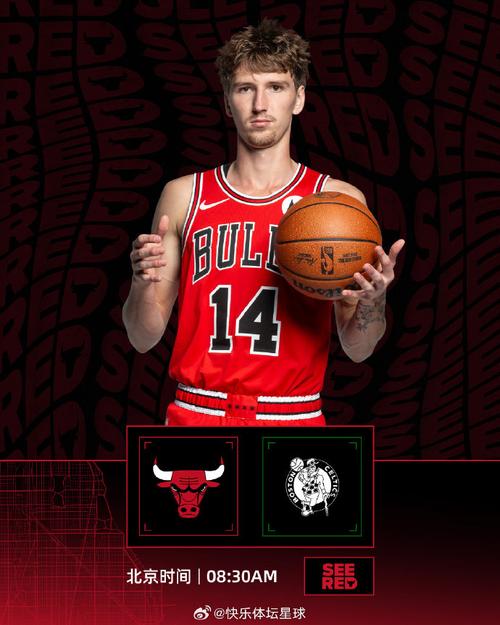 公牛对阵凯尔特人