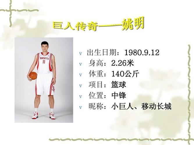 姚明的个人资料简介200字