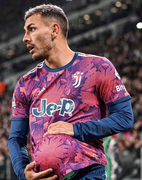 梅雷莱斯什么水平