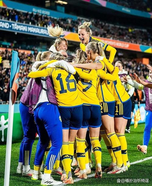 瑞典国家队主力阵容