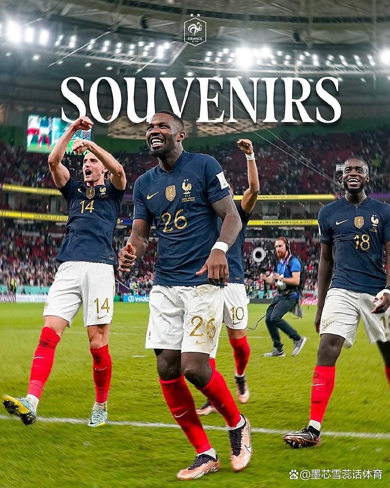 法国队世界杯预选赛名单